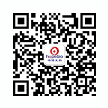 开云网页版登录入口